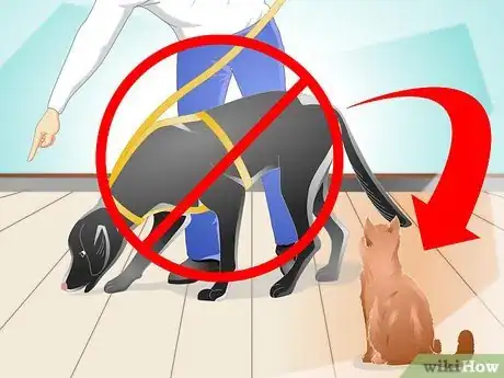 Image titled Teach a Cat to "High Five" Step 2